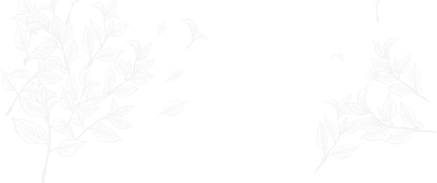 خلفية تنسيق حدائق