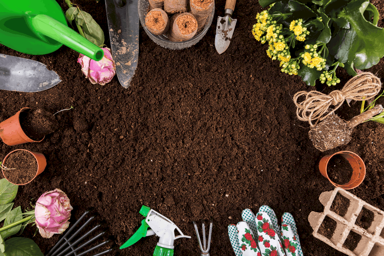 معلومات عن حدائق جوري لتنسيق الحدائق (بانر2)